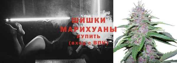 PSILOCYBIN Балабаново