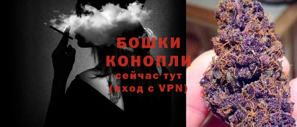 PSILOCYBIN Балабаново