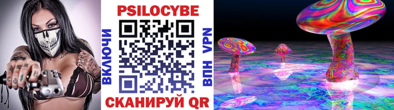 даркнет состав  Котельнич  Галлюциногенные грибы Cubensis 